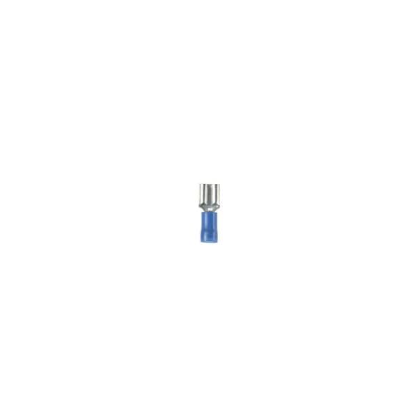 Female Disconnect, Nylon, 16-14AWG, PK100